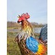 Large iron rooster - Decorative Rooster - Metal garden animals - Garden and patio inspiration