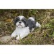 Shih Tzu Lying Down Statue
