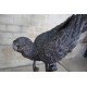 Antique French Art Deco Bronze Macaw Parrot Sculptures – Camille, 1920s