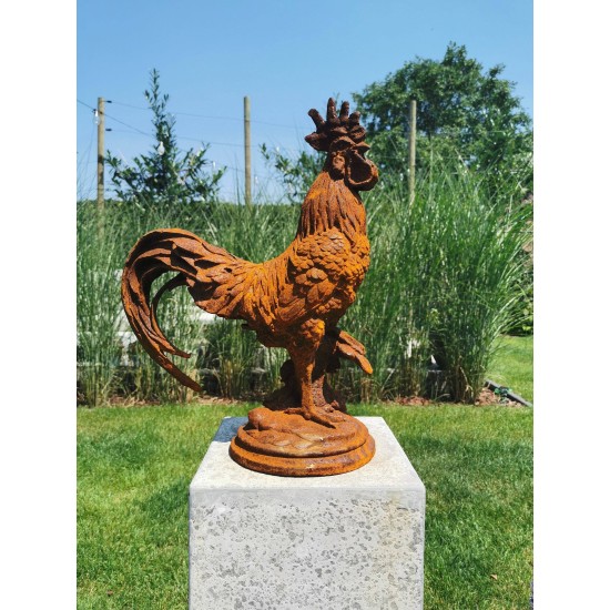 Large Cast iron rooster - Garden statue - Cast iron garden sculptures