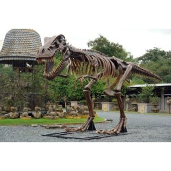 T-Rex Skeleton