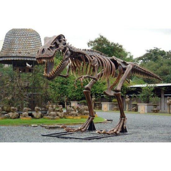 T-Rex Skeleton