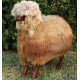 Handcrafted Sheep Stool