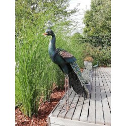 Xl iron peacock - Amazing detail and beautiful colours