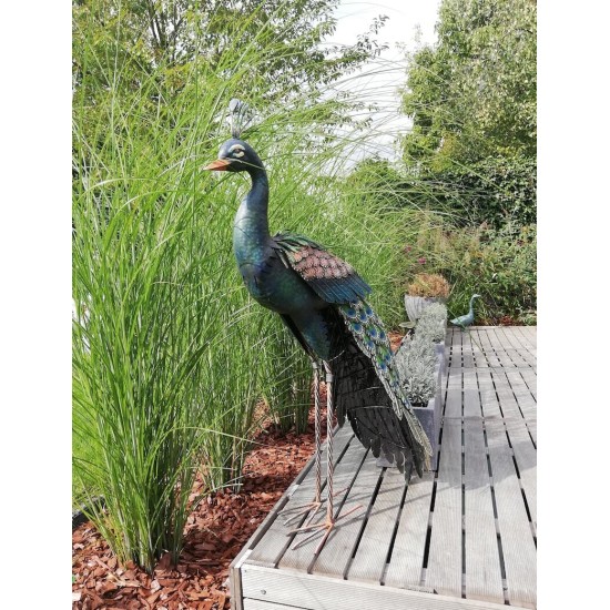 Xl iron peacock - Amazing detail and beautiful colours
