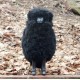 Handcrafted Sheep Stool