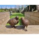 Pair of bronze birds - Garden  ornaments - Bronze quail