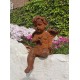 Antique garden sculpture of an Angel (boy) - Sitting model
