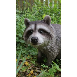 Raccoon Sitting Statue