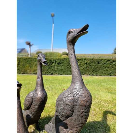 A duck family - group of bronze ducks - runner ducks - Bronze garden sculptures - bronze geese - pond decoration
