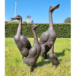 A duck family - group of bronze ducks - runner ducks - Bronze garden sculptures - bronze geese - pond decoration