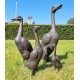 A duck family - group of bronze ducks - runner ducks - Bronze garden sculptures - bronze geese - pond decoration