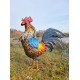Large iron rooster - Decorative Rooster - Metal garden animals - Garden and patio inspiration