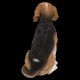 Beagle Dog Sitting Statue