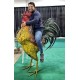 66.5" Colorful Iron Rooster Statue