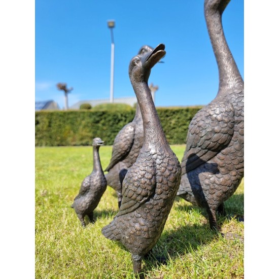 A duck family - group of bronze ducks - runner ducks - Bronze garden sculptures - bronze geese - pond decoration