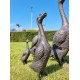 A duck family - group of bronze ducks - runner ducks - Bronze garden sculptures - bronze geese - pond decoration