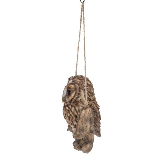 Hanging Baby Owlets on a Branch