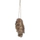 Hanging Baby Owlets on a Branch