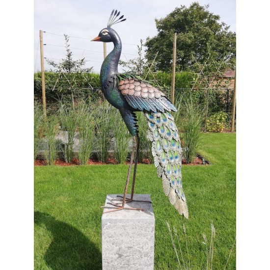 Xl iron peacock - Amazing detail and beautiful colours
