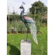 Xl iron peacock - Amazing detail and beautiful colours