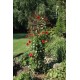 Floral Towers