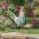 garden-decor-outlet-sale