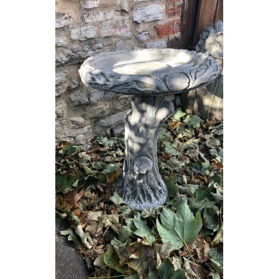 Stunning Stone Tree Trunk Design Garden Bird Bath