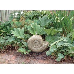 Grand Ammonite Fossil Stone Garden Water Feature