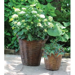 Outdoor Baskets