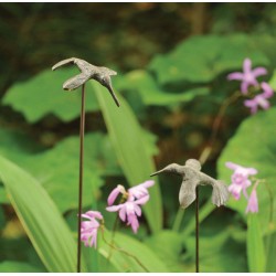 Hummingbird Stake