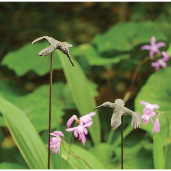 Hummingbird Stake