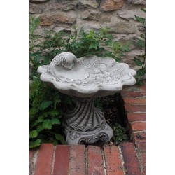 Stunning Stone Shell Sculpture Garden Bird Bath