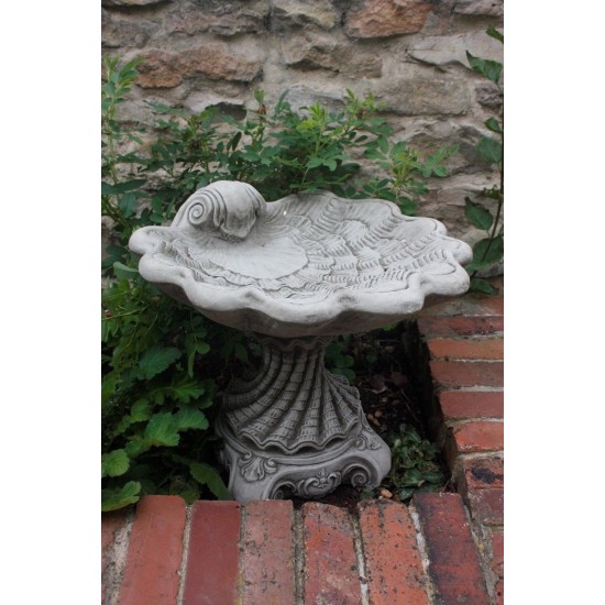 Stunning Stone Shell Sculpture Garden Bird Bath
