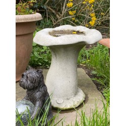 Stunning Stone Mushroom Sculpture Garden Bird Bath
