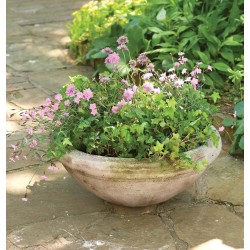 Simple Bowl