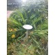 Stunning Stone Flower Petal Garden Bird Bath