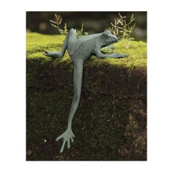 Climbing Frog