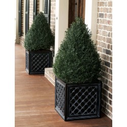 Lattice Aluminum Planter