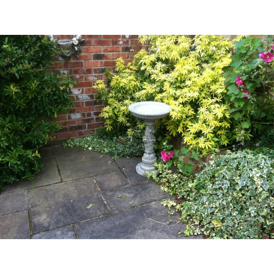 Stunning Stone Flower Petal Garden Bird Bath