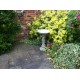 Stunning Stone Flower Petal Garden Bird Bath