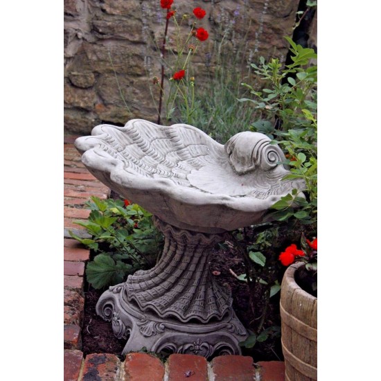 Stunning Stone Shell Sculpture Garden Bird Bath