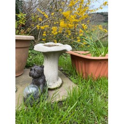 Stunning Stone Mushroom Sculpture Garden Bird Bath