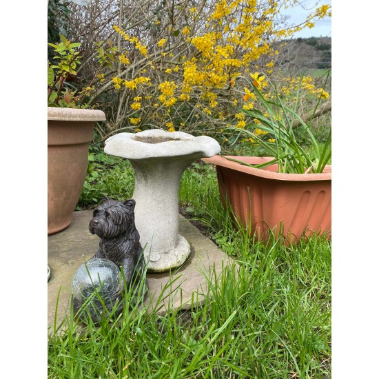 Stunning Stone Mushroom Sculpture Garden Bird Bath