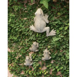 Mother Frog and Babies (Set of Four)