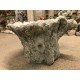 Stunning Stone Tree Stump Garden Bird Bath