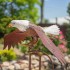 Large Flying Eagle Iron Rocking Stake