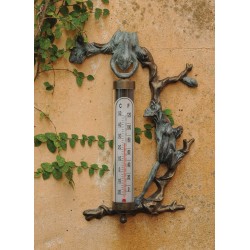 Frog Thermometer