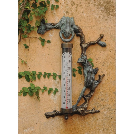 Frog Thermometer