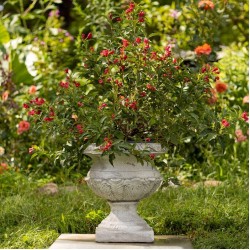 17 Inch Tall Urn Style Flower Planter Color Option